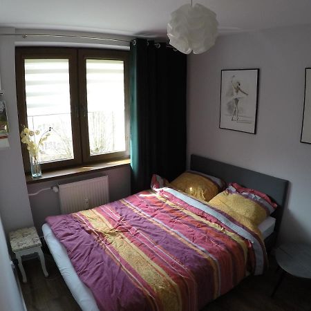우스트르치키 돌네 Apartament Bieszczady 아파트 외부 사진