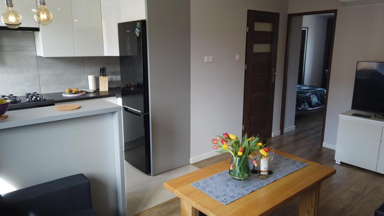 우스트르치키 돌네 Apartament Bieszczady 아파트 외부 사진
